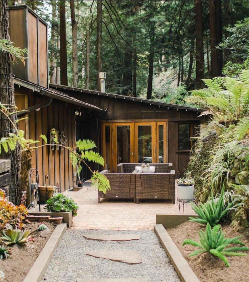 Sur Grove Big Sur Villa Exteriör bild
